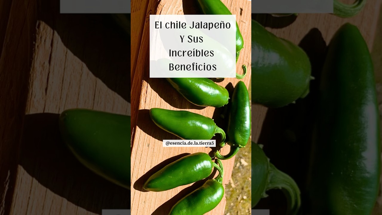 El Chile Jalape&ntilde;o Y Sus Incre&iacute;bles Beneficios