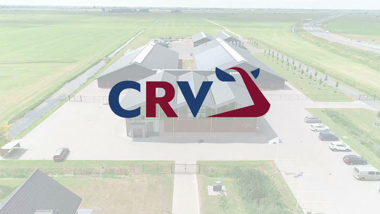 Dairy Breeding Center Wirdum (the Netherlands)