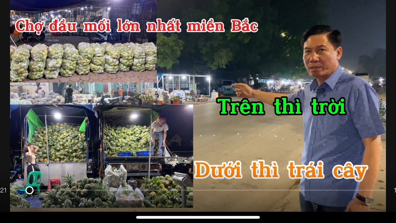 Chợ mía xã Tân Mỹ thành phố Bắc Giang là chợ đầu mối lớn nhất miền Bắc chuyên hoạt động về đêm…