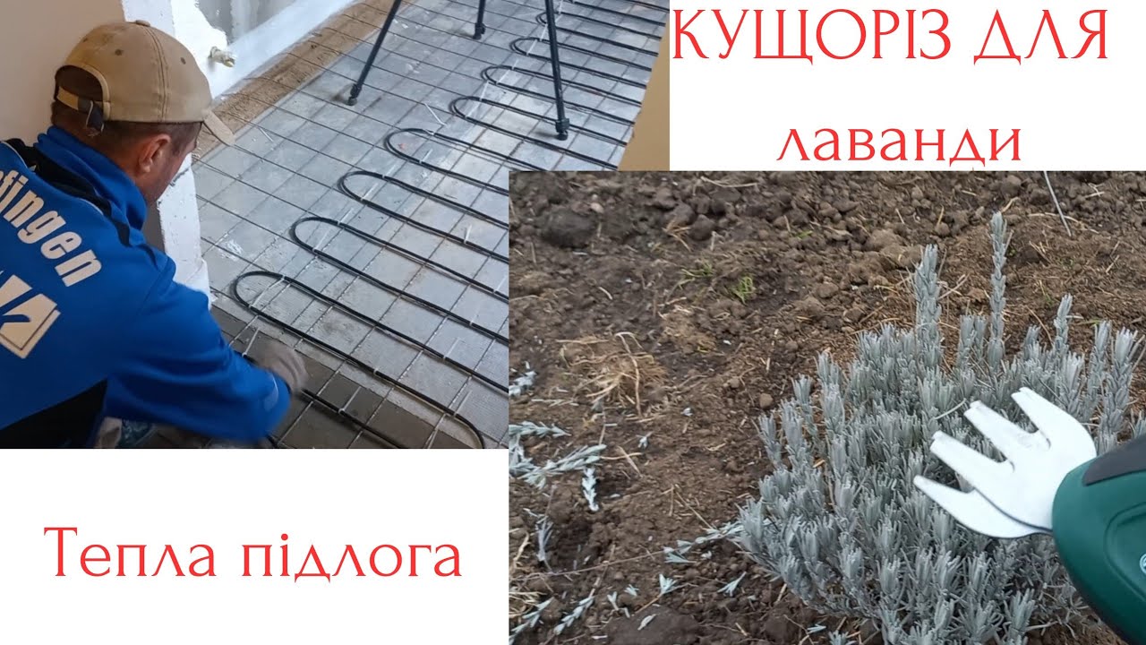 ТЕПЛА ПІДЛОГА ТА КУЩОРІЗ ДЛЯ ЛАВАНДИ@lavanderprostir