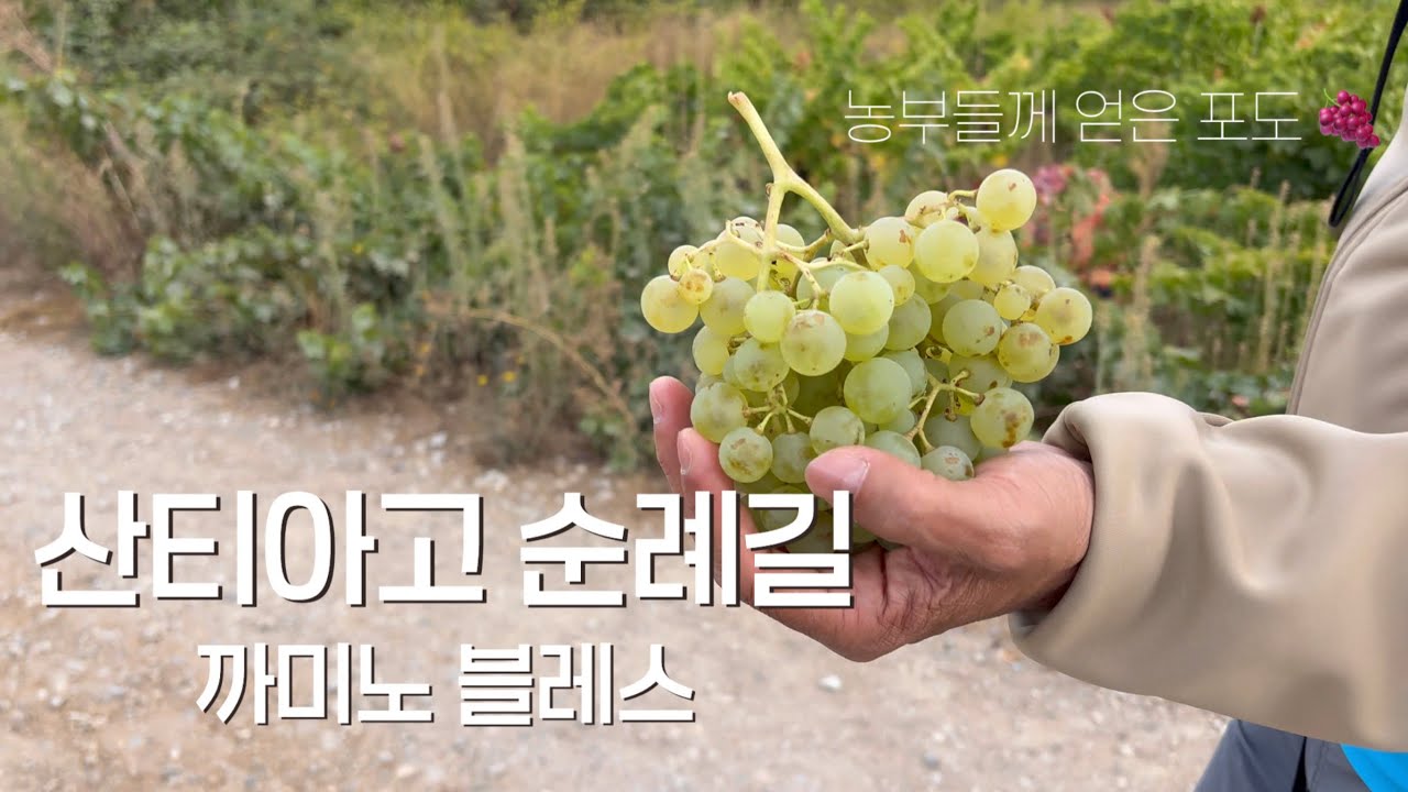 나혼자 산티아고 순례길 ep.5 까미노 블레스가 끊임이 없구나 폰페라다에서 빌라프랑카