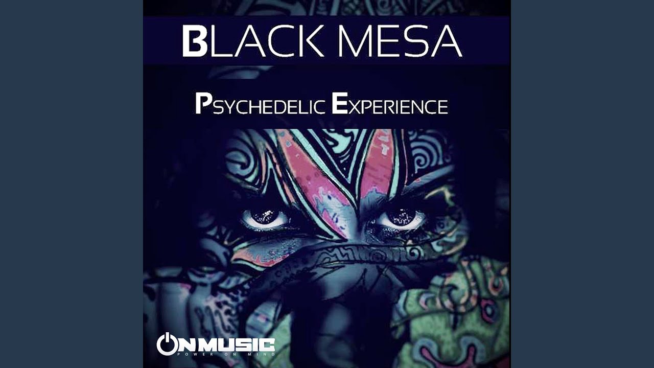 Psychedelic Experience