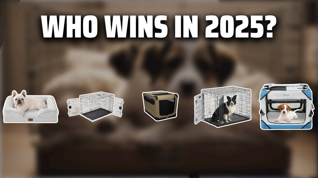 The Top 5 Best Dog Crates in 2025 - Must Watch Before Buying!