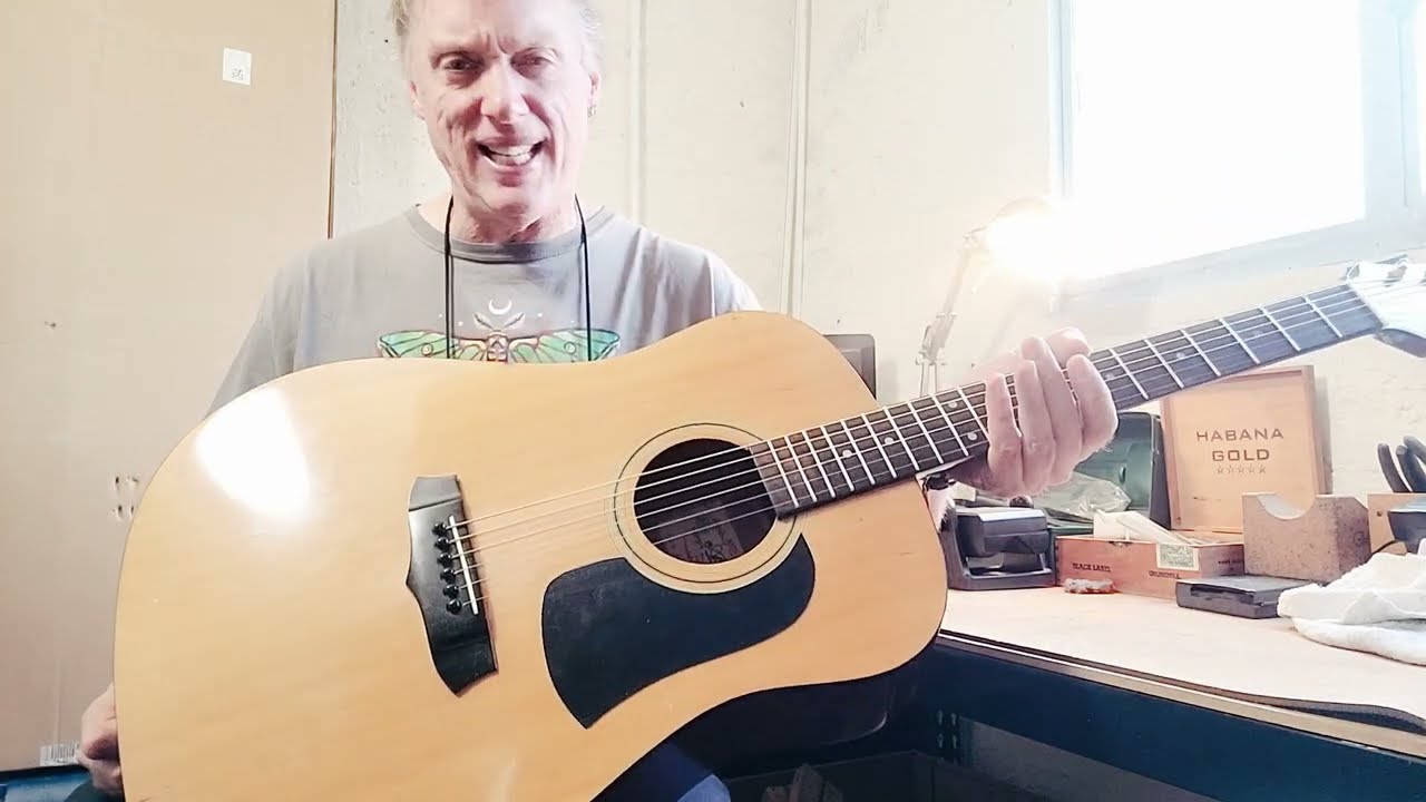 Aria AW15 Acoustic Guitar!