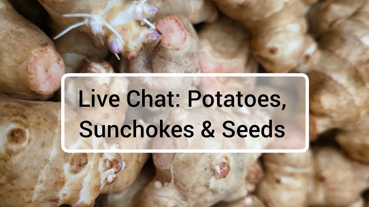 LIVE CHAT: Garden Q&A