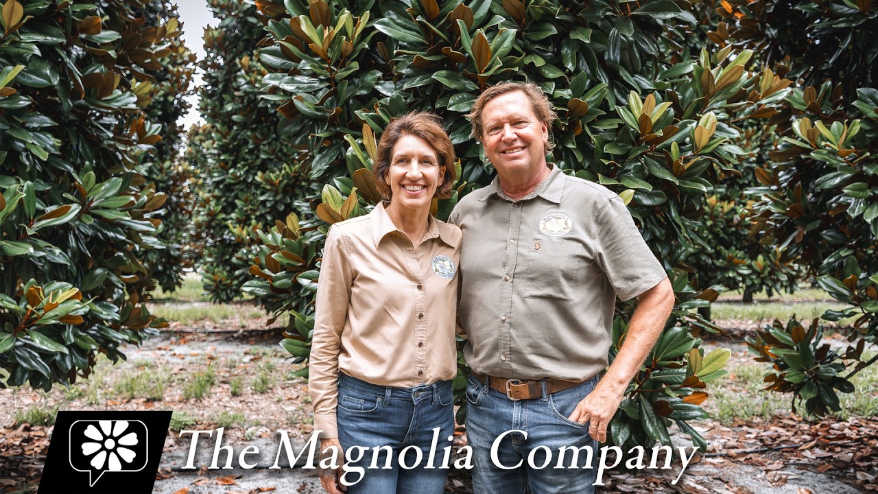 The Magnolia Company