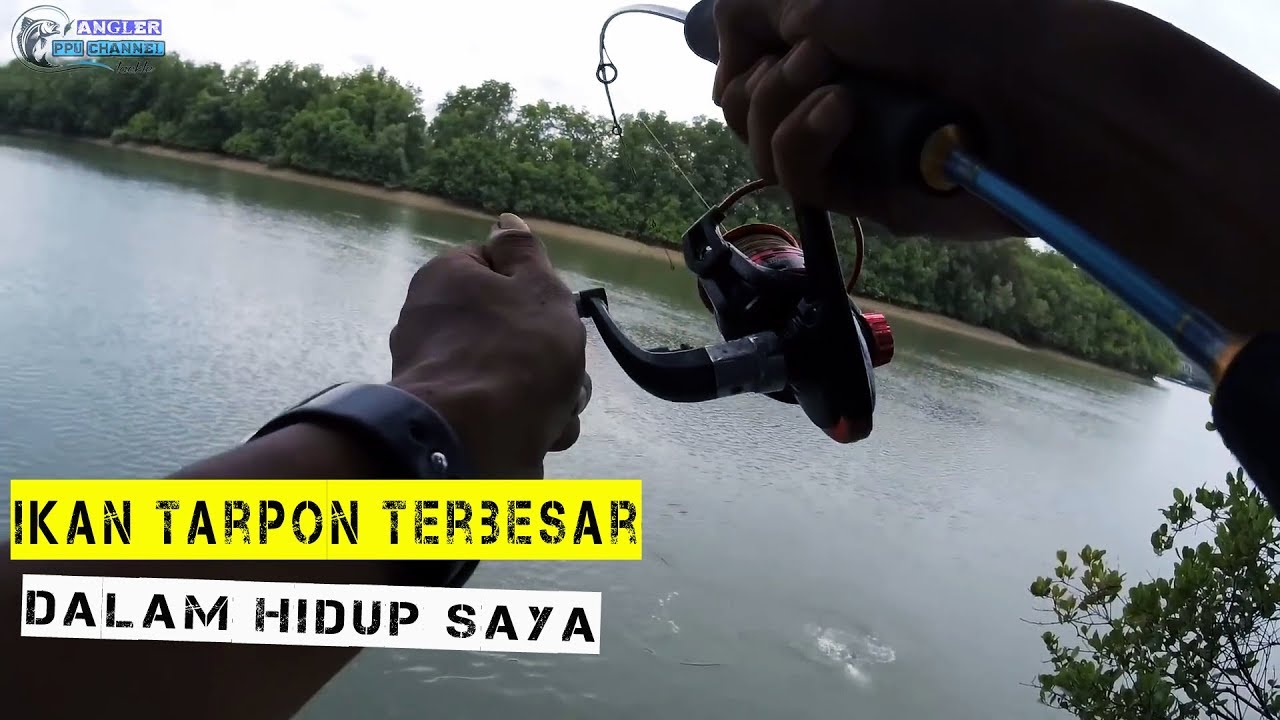 Mancing Pinggiran Sungai