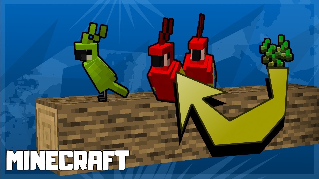 HOW TO TAME PARROTS IN MINECRAFT! 1.14.4