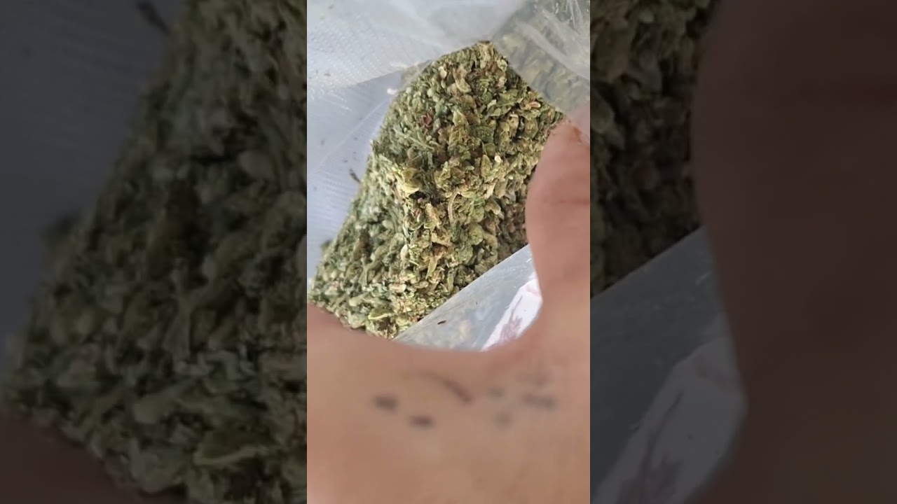 Jkdistrom.com @jkdistributionofficial quarter pound shake! Amazing Quality $59.99 -Live Resin-