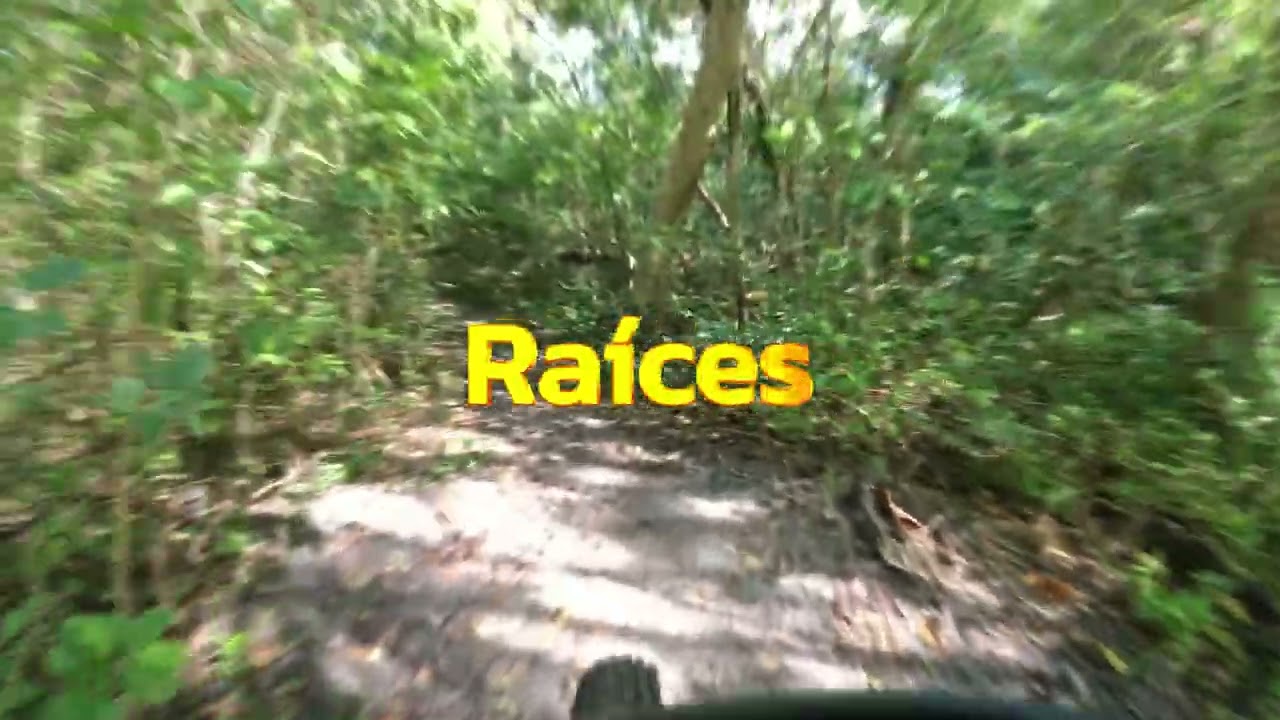 Tortuguero with My Love