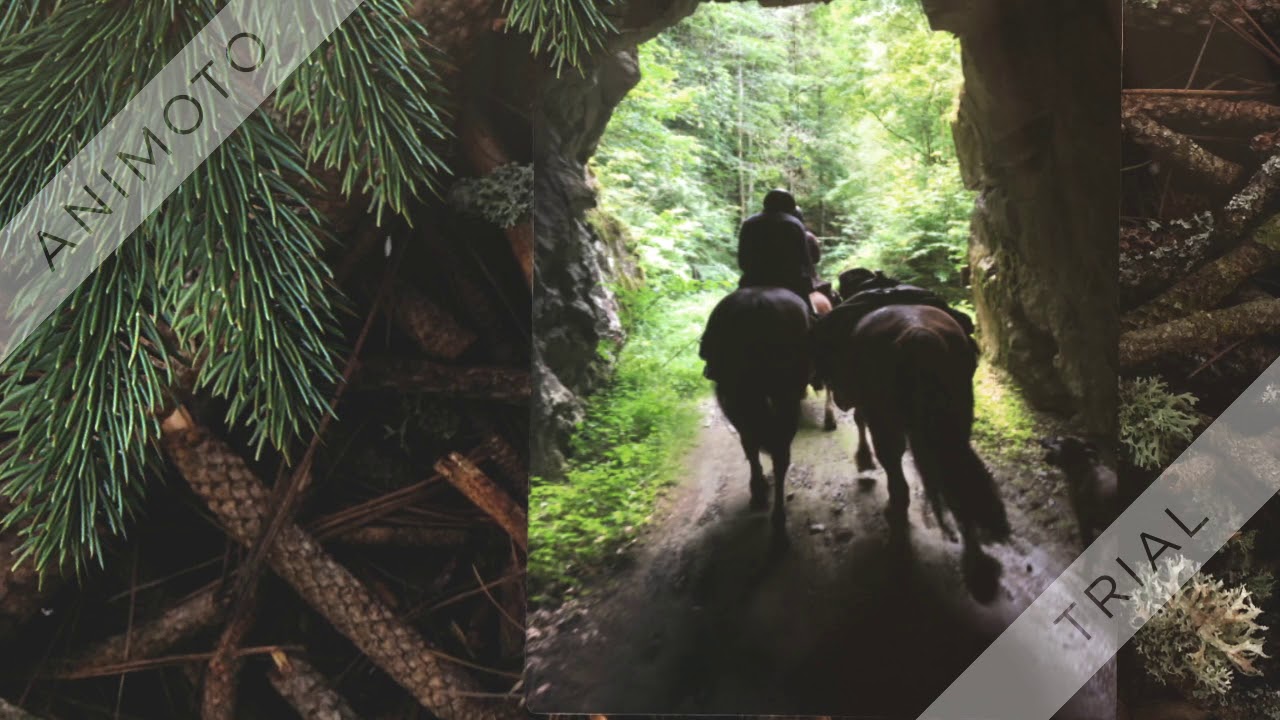 Schwarzwald Wanderreiten Todtmoos-Au