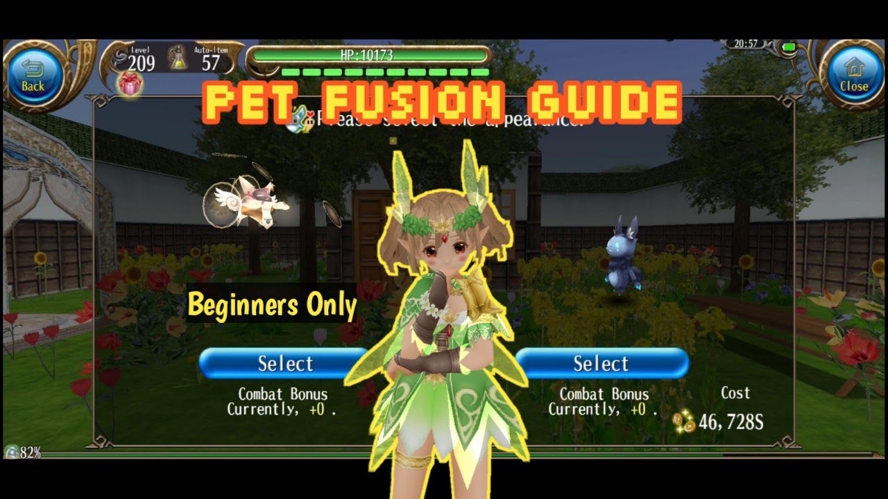 Pet Fusion Guide | Toram Online | Pet