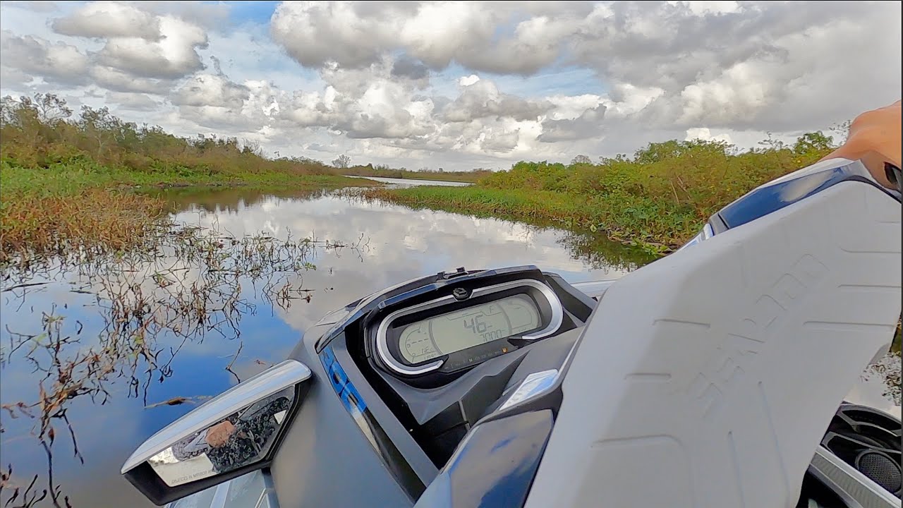 Alligators All Over The River (Gator Bait)