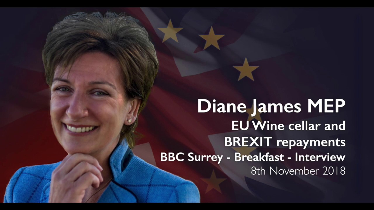 Diane James MEP on EU Wine cellar and BREXIT
