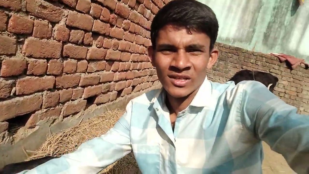Bhains ke bacchon se Masti 😂😂😂