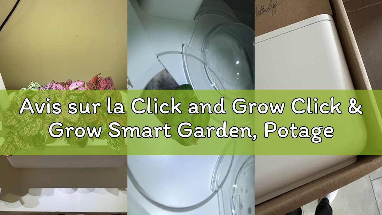 Avis sur la Click and Grow Click & Grow Smart Garden, Potager Intérieur Connecté Avec 3 Capsules Prê