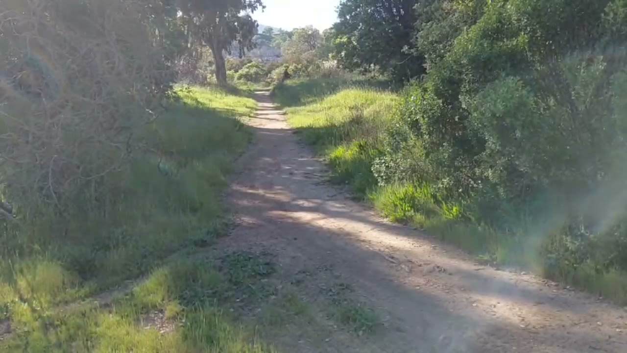 CSC TT Enduro 250