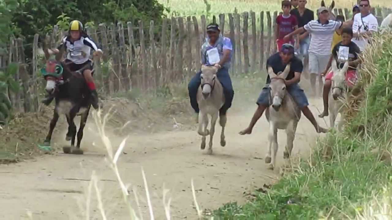 VI Corrida de Jumento de Penedo - Maranguape/Ce