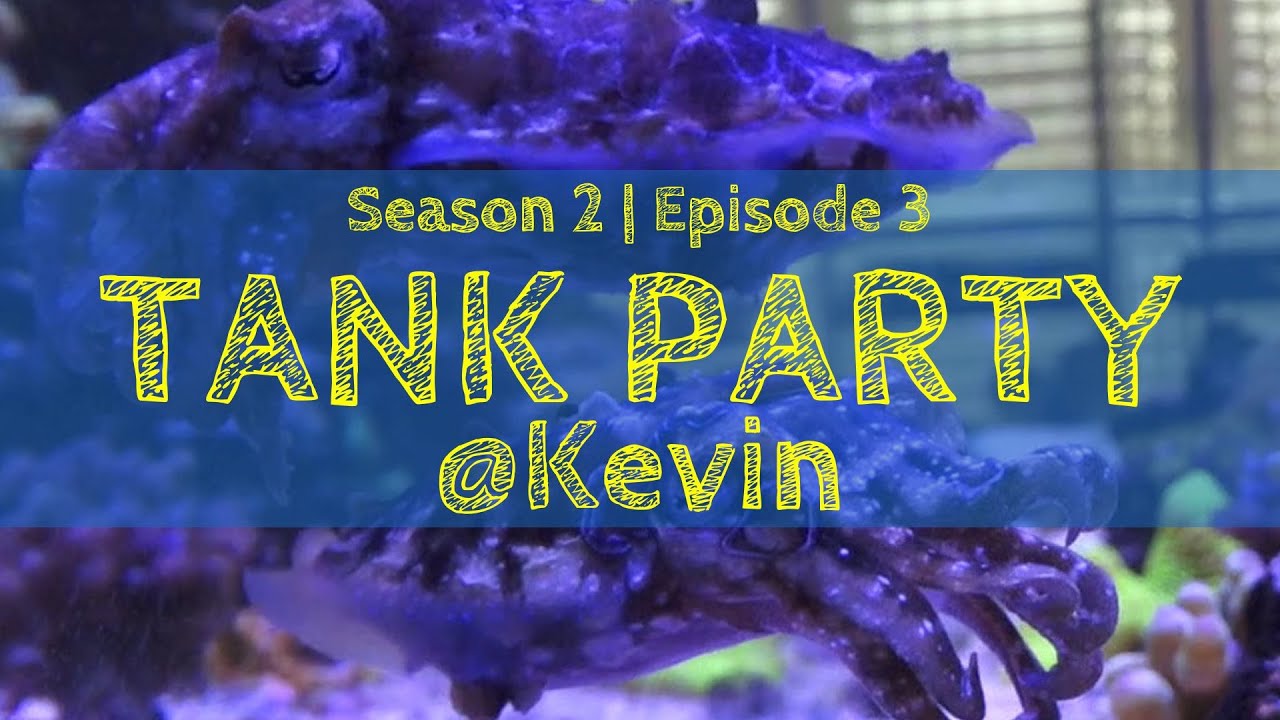 Season 2 Episode 3: Kevin | TANK PARTY | Meerwasser Live TV