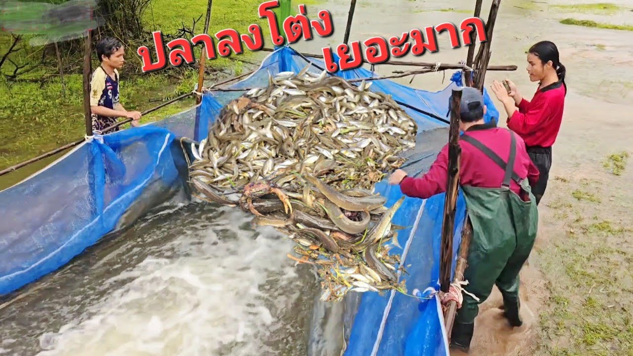 บรรยากาศแบบนี้กลับมาอิกครั้ง.