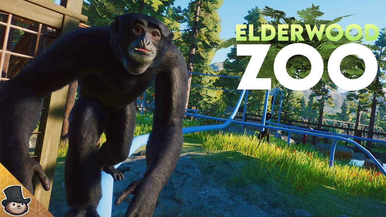 Тропический остров для игр сиамангов в зоопарке Planet Zoo | Зоопарк Элдервуд