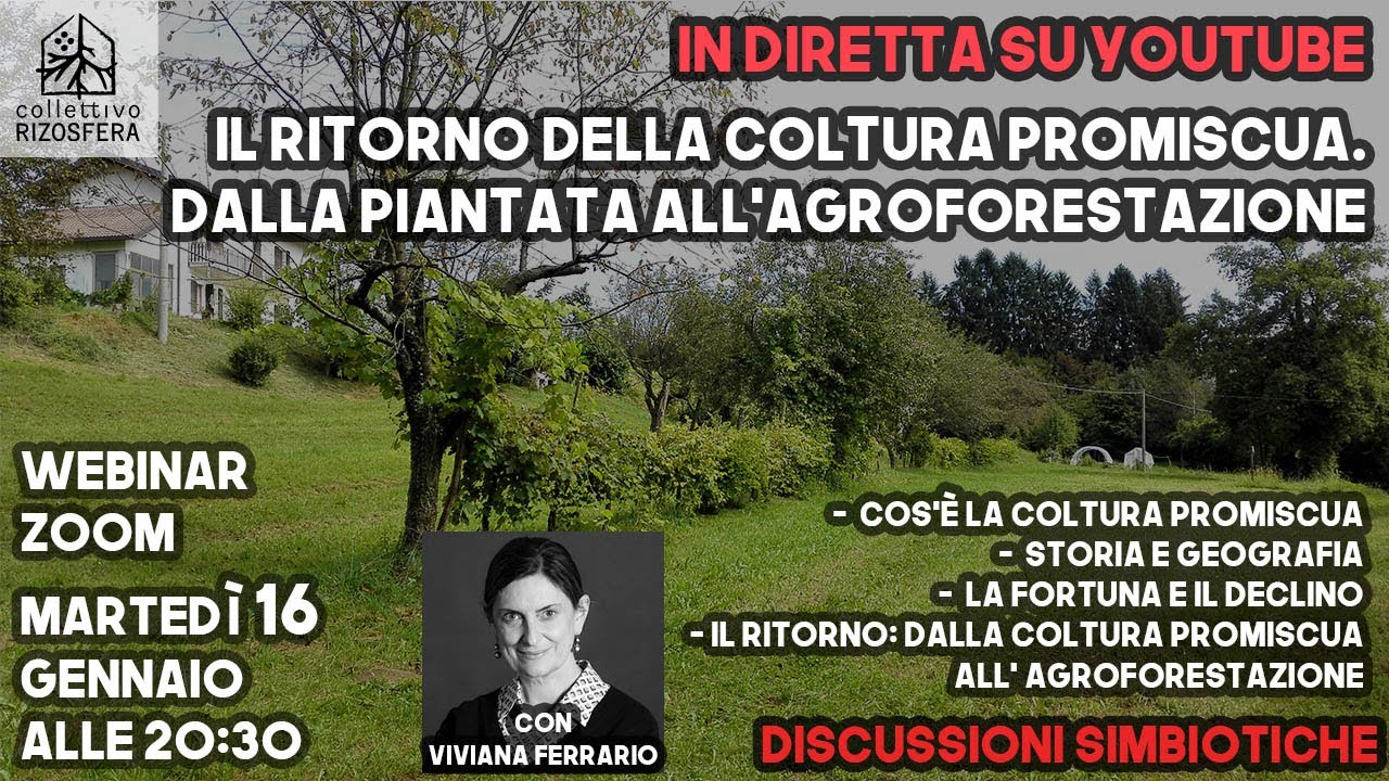 Il ritorno della COLTURA PROMISCUA. Dalla PIANTATA all'AGROFORESTAZIONE - Viviana Ferrario - DS