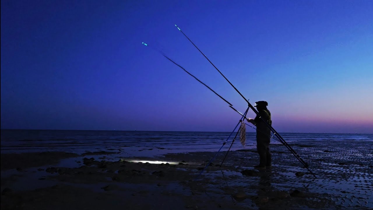 Can I fish this Sussex mark over low for Smooth Hounds?