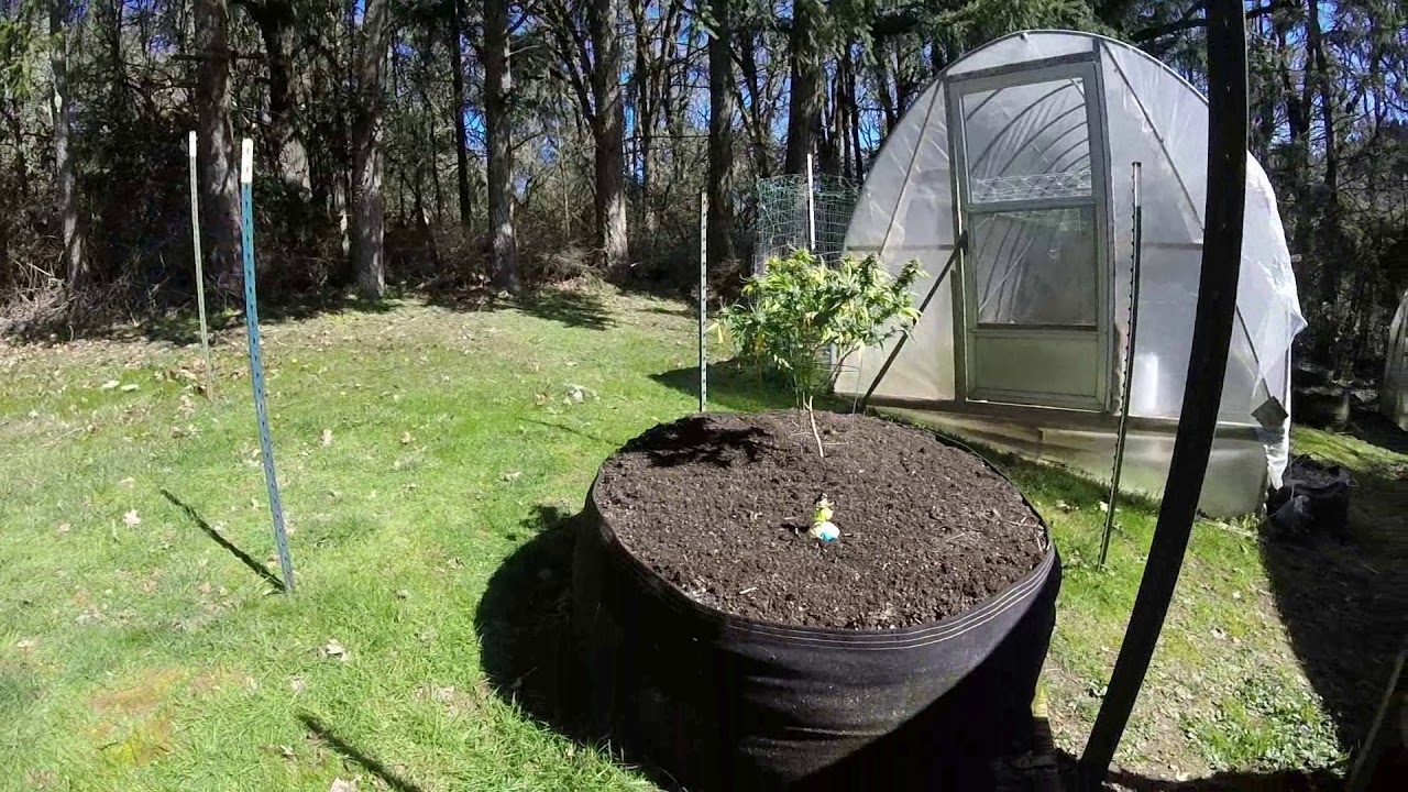 OMMP OUTDOOR WINTER GROW/HARVEST