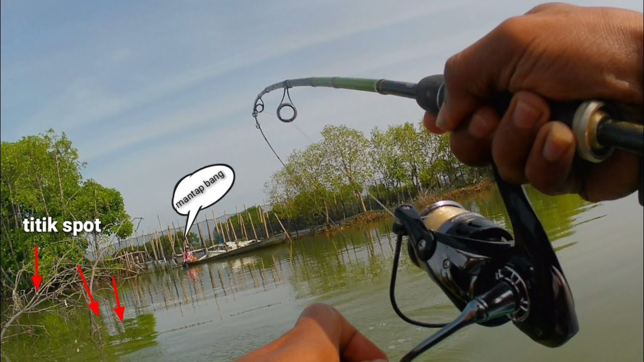 PEMANCING INI BERUNTUNG! Strike Ikan Kerapu Besar Sampai Joran Melengkung!