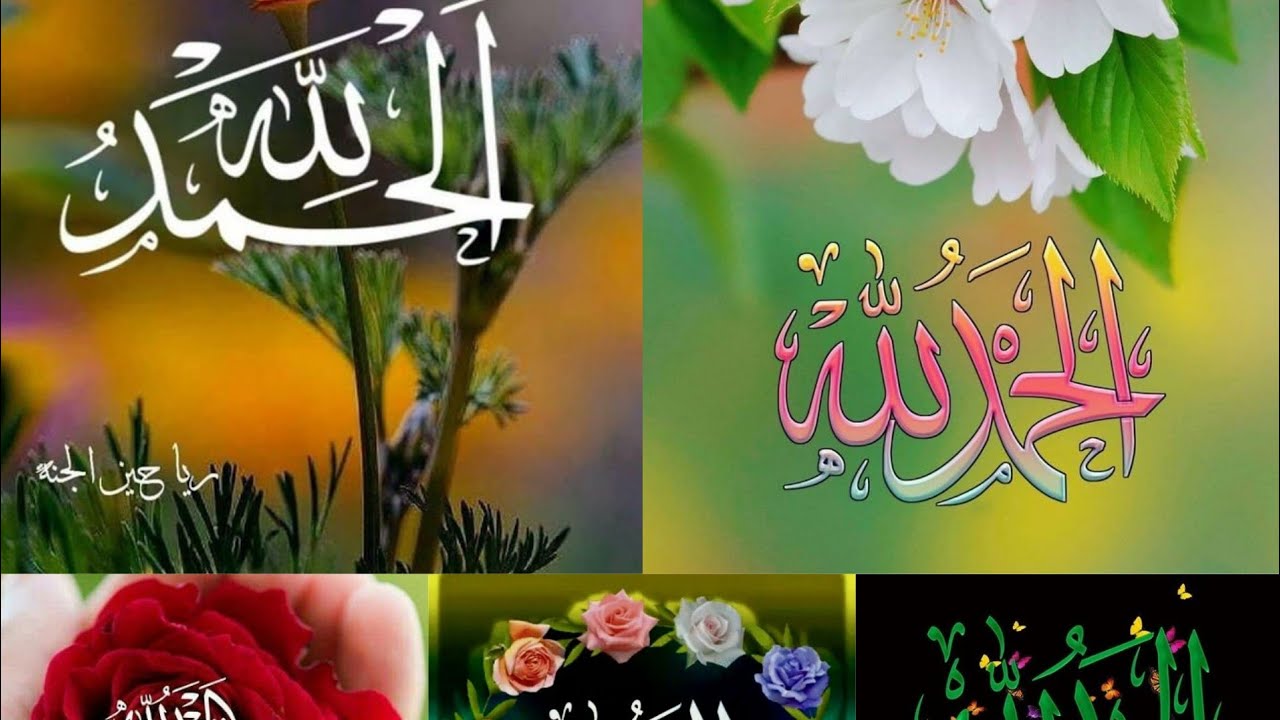 Islamic dps/Alhamdulillah Arabic  Wallpaper// beautiful whatsapp dp images whatsapp status