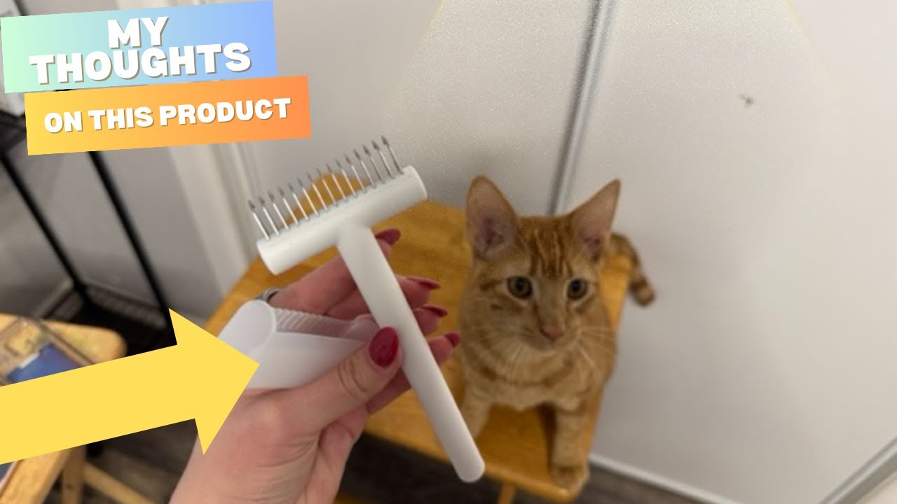 Quick Demo of this Undercoat Rake / Dematting Comb for Cats