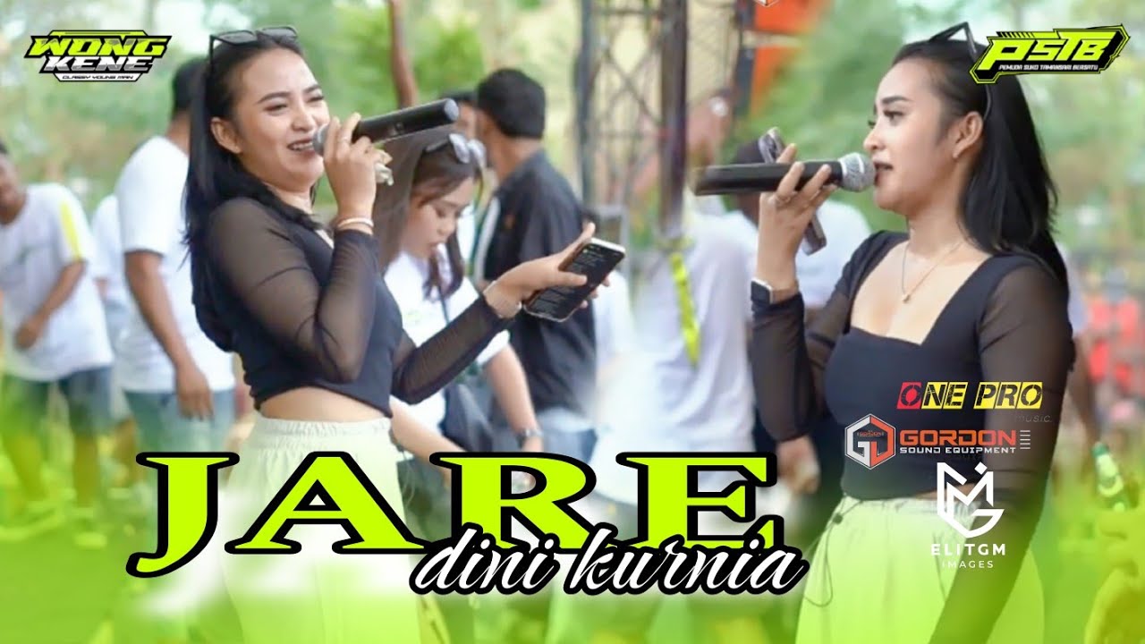 DINI KURNIA [ JARE ] || LIVE PEMUDA SUKO TAMANSARI BERSATU (PSTB) - ONE PRO X GORDON AUDIO
