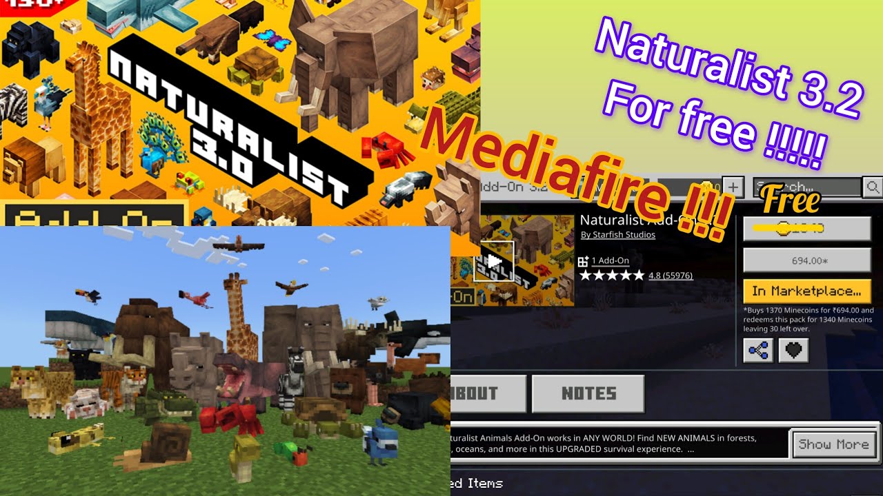 How to get Naturalist 3.2 Marketplace Add-on for free | Mediafire | Minecraft|