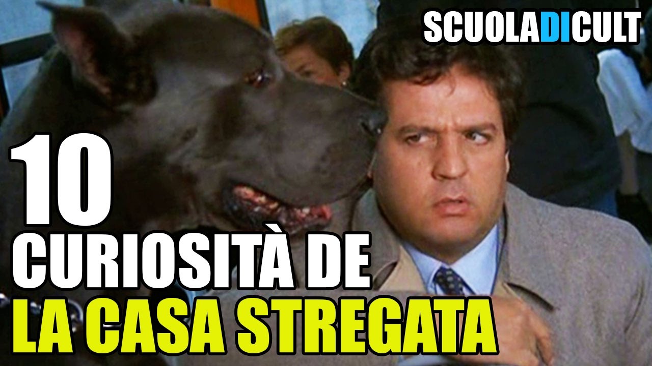 🌟10 CURIOSITÀ de 🎥 