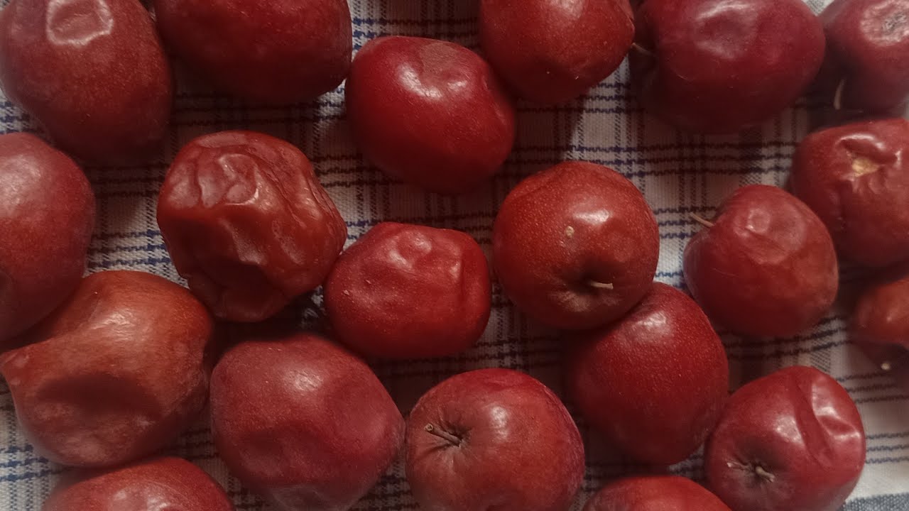 শুভ বিকেল বন্ধুরা সবাই মিলে একটু গল্পঃ করি