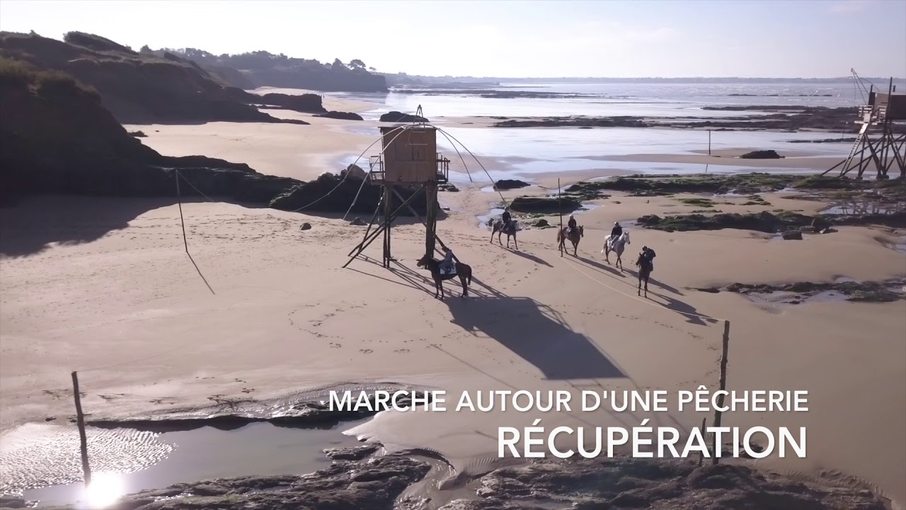 ENTRAINEMENT CHEVAUX DE COURSES À LA PLAGE ÉCURIE FABRICE FOUCHER