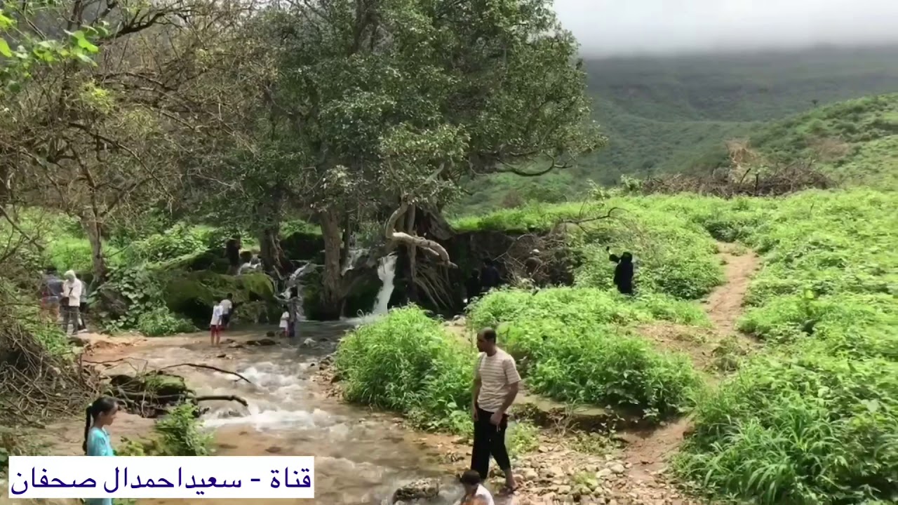 يا صاحبي وش معك لي خاطرك شين كايد