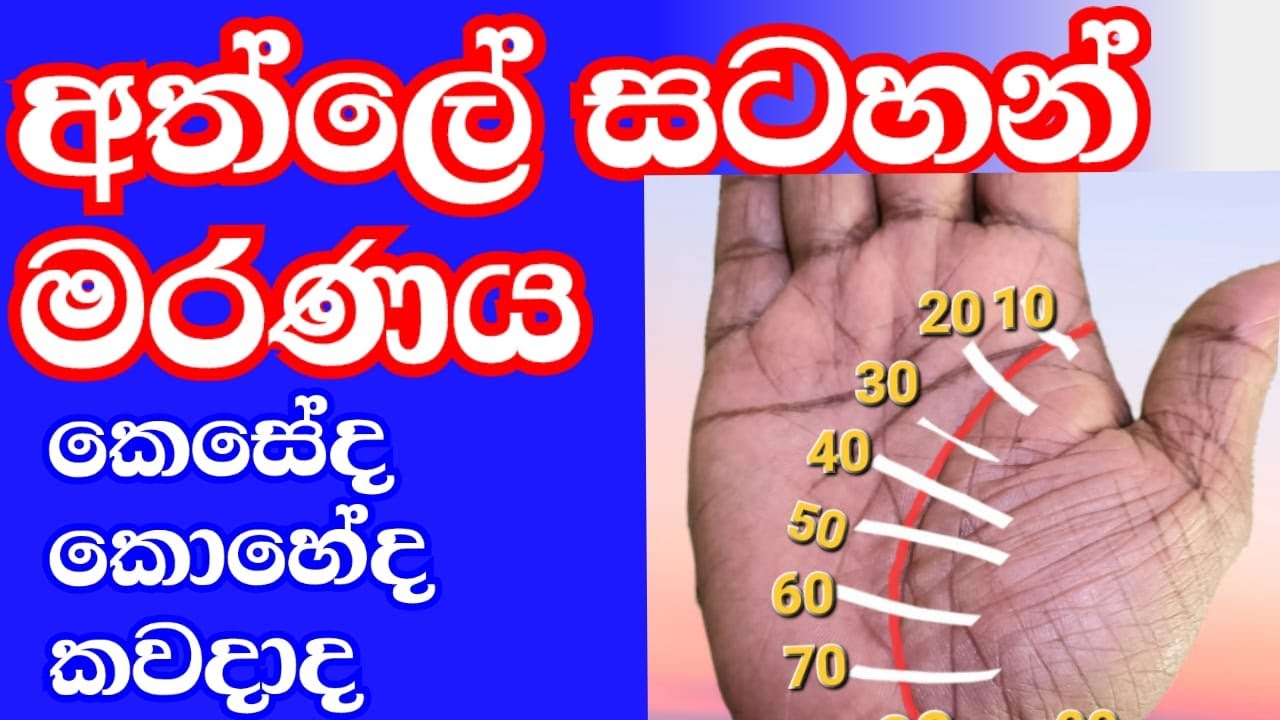 ලග්න පලාඵල ,  හස්ත රේඛා ශාස්ත්‍රය , all astrology signs ,Astrology and palms reading , #StarGuider ,