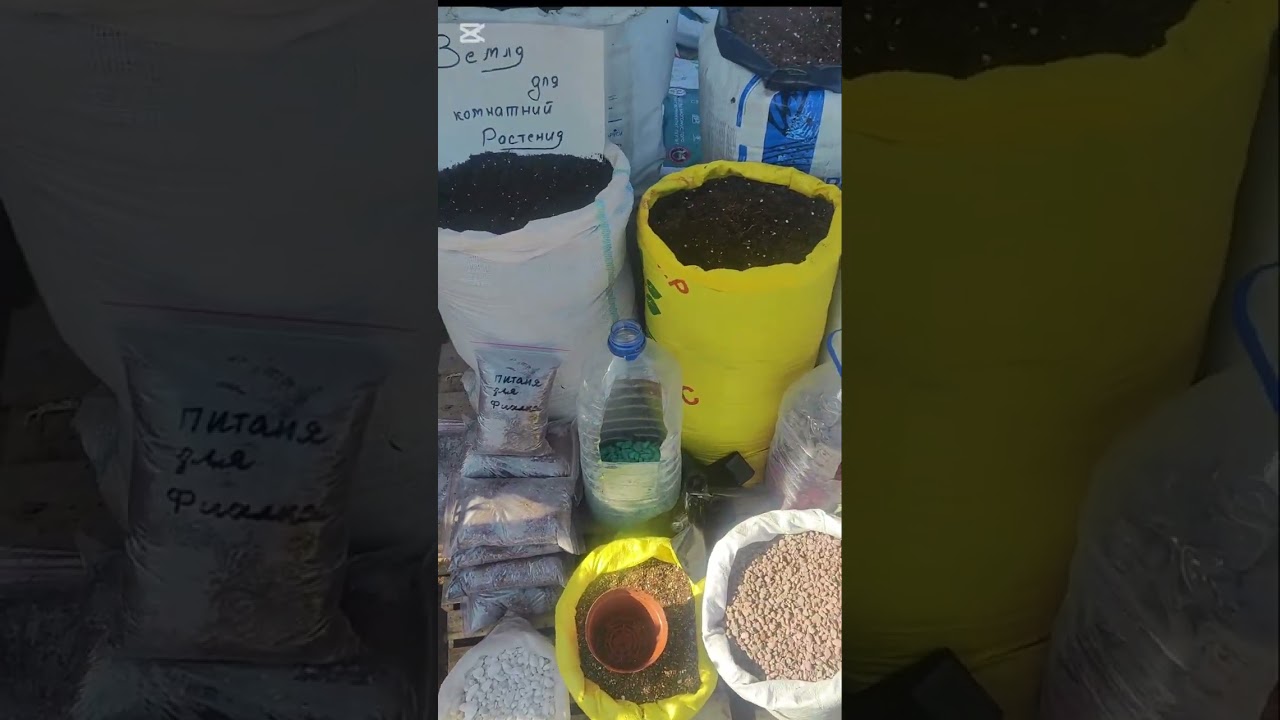 Ташкент. Кадышева гул бозори.