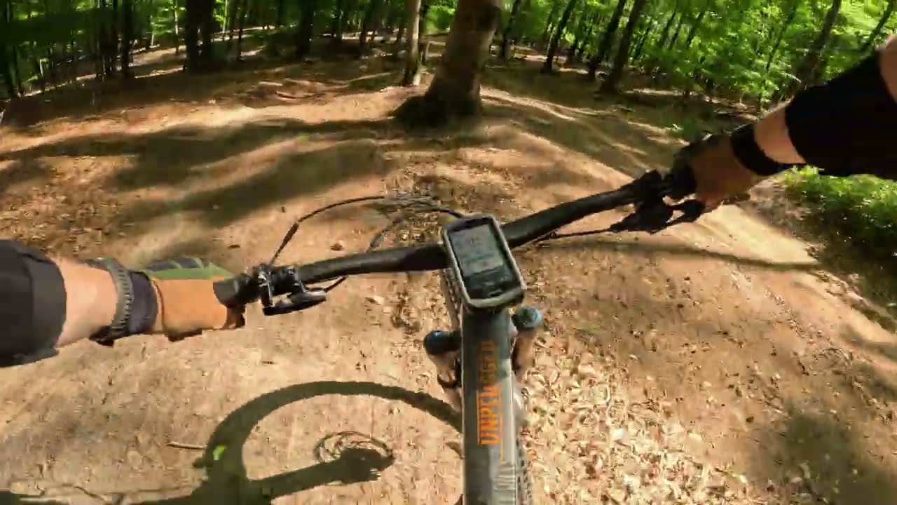VTT Wissembourg, Winestub und Pokemon