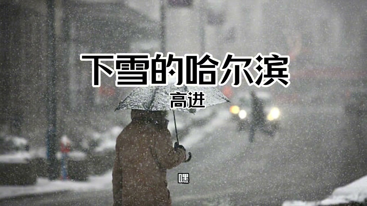 【中文字幕 Chinese Sub】原唱:【高进 - 下雪哈尔滨】在没冬天的南方 你如果 遇见下雪的哈尔滨 抱紧我 就当青春没走远