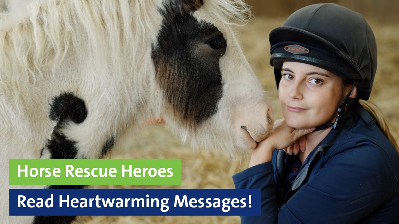 Horse Rescue Heroes Read Heartwarming Messages!