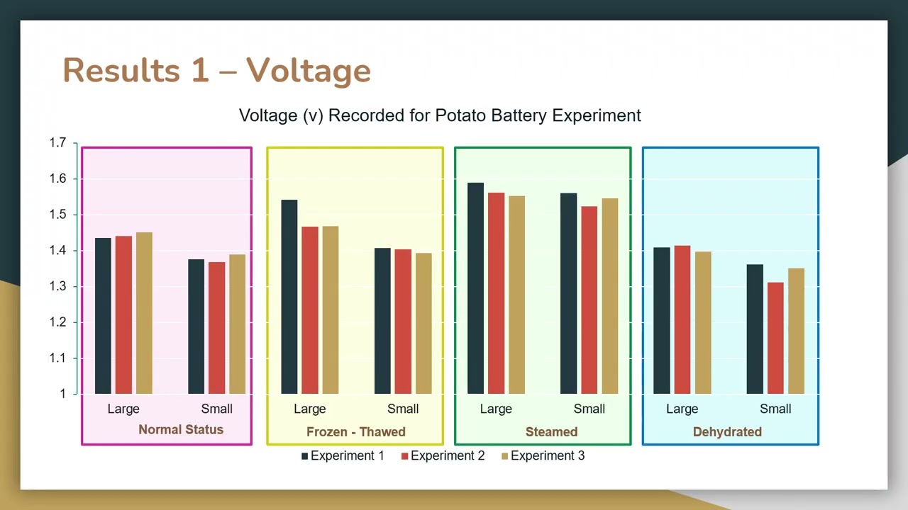 Calgary Youth Science Fair 2026 Potato Battery Alison Anny Louis Riel School Grade 6