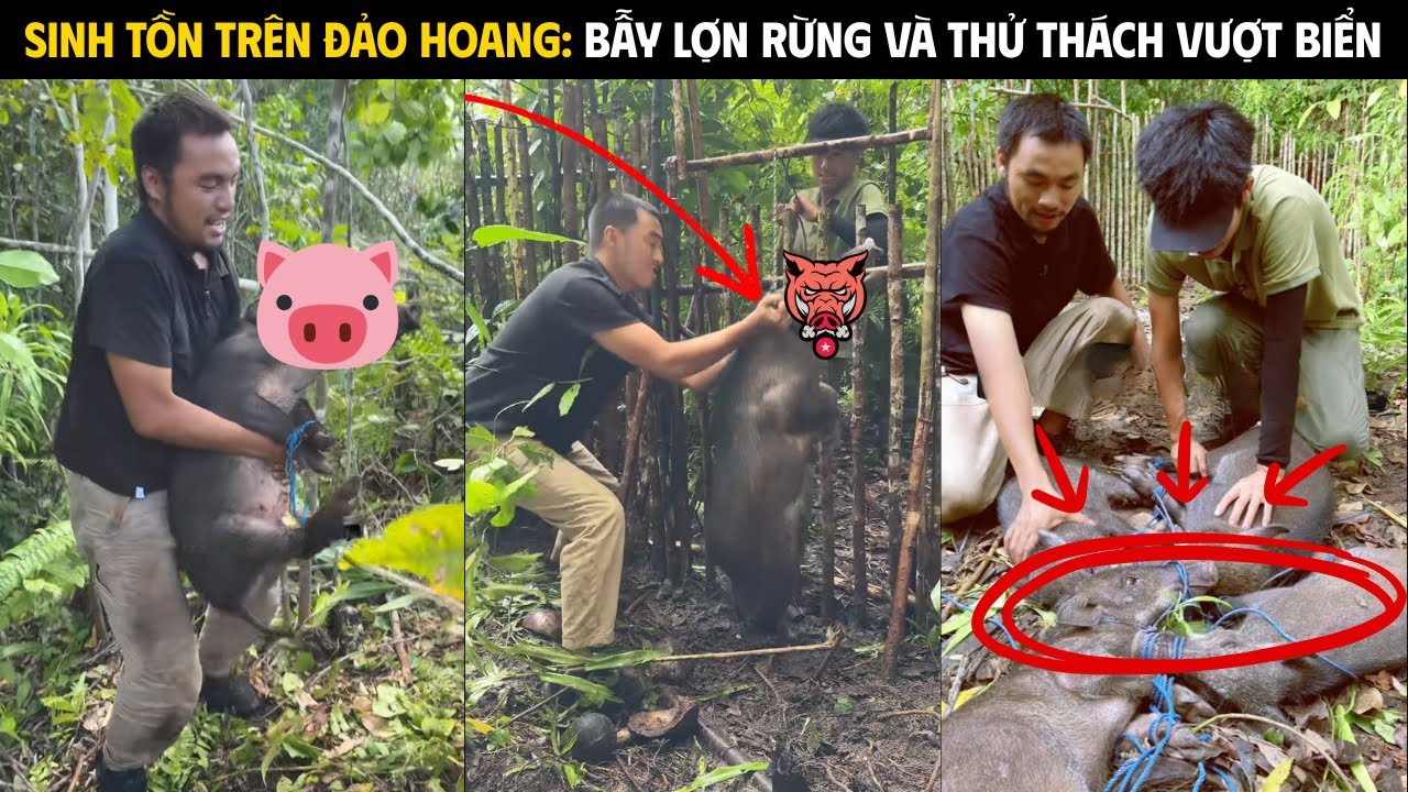 PHẦN 7 | KHÁM PHÁ VÀ SINH TỒN TRÊN HOANG ĐẢO HALMAHERE - ĐỐI ĐẦU HÀNG NGÀN CON LỢN RỪNG!