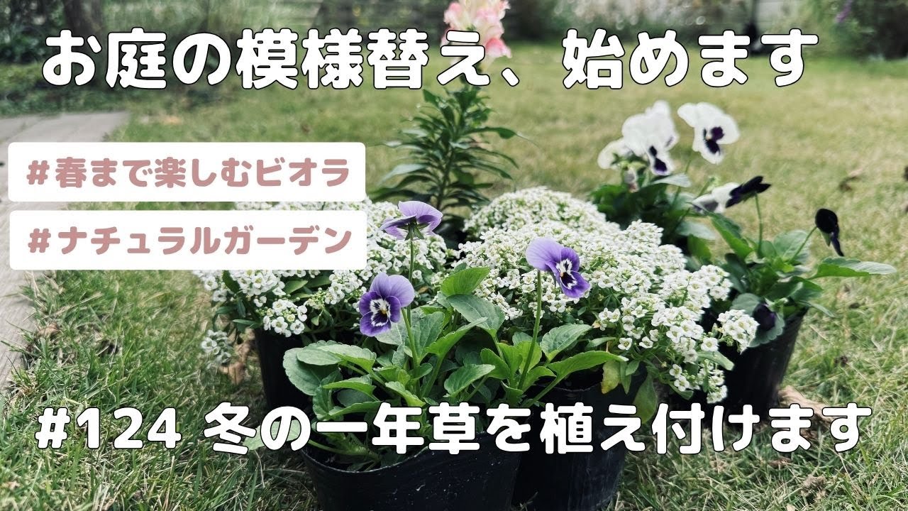 【