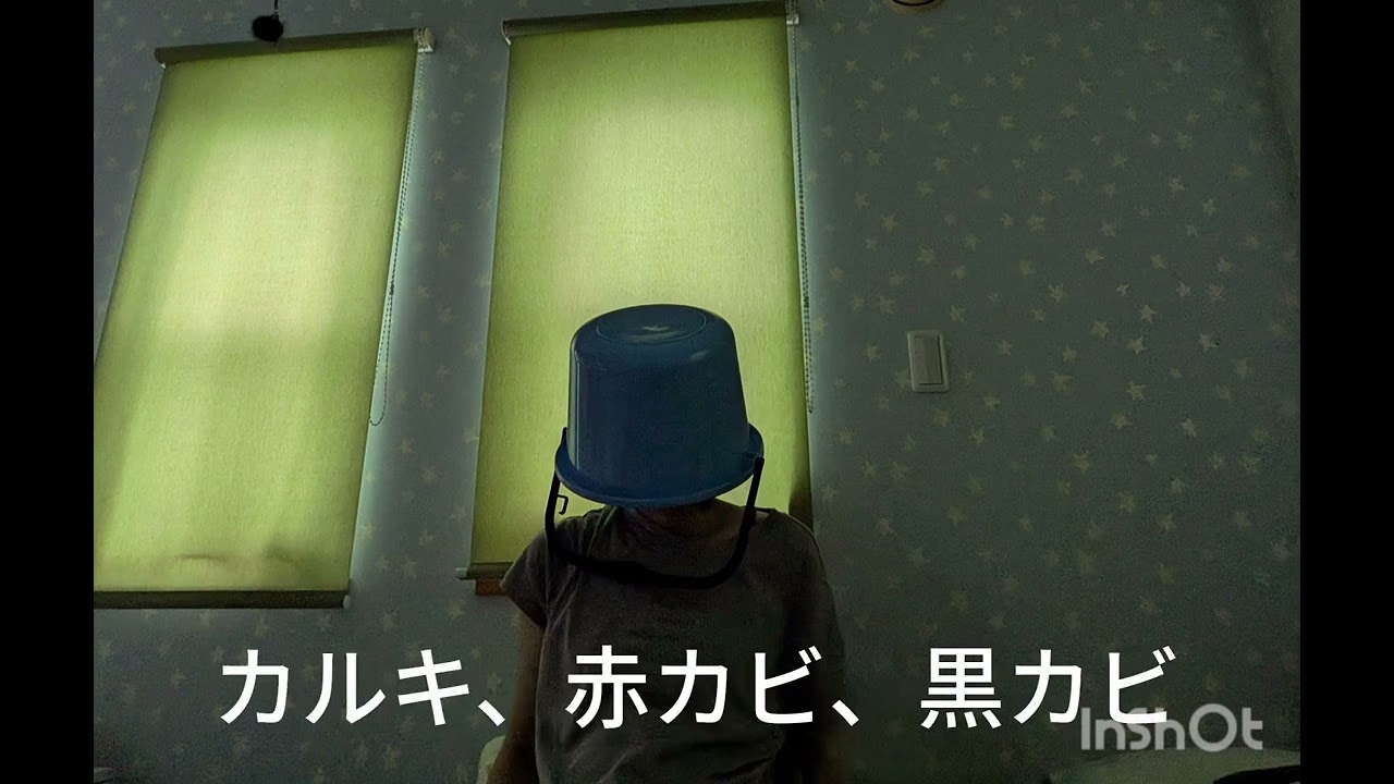 漂白剤