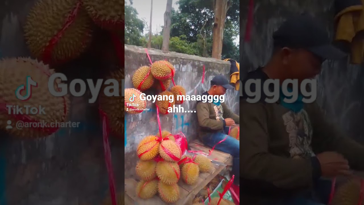 suka bungah wae sanaos nju sepi Oge ah