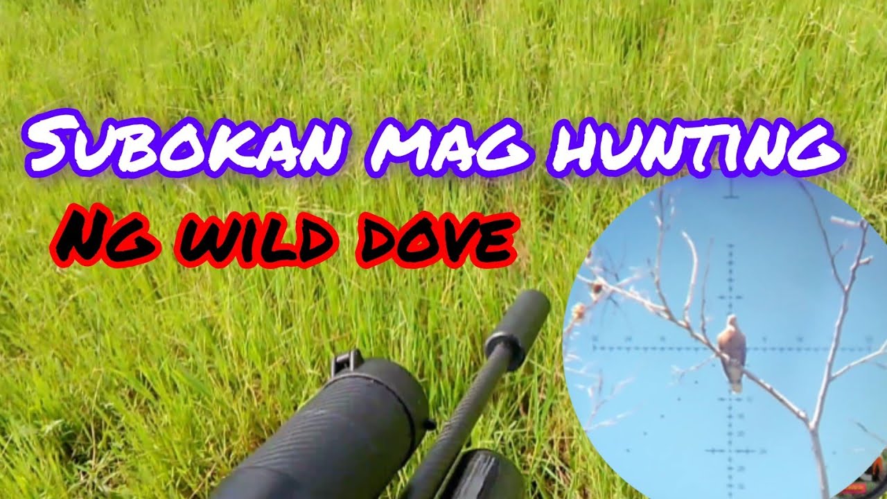 PASYAL LANG SA SPOT,AGILA SUBOK SA HUNTING,,GCMAG V2