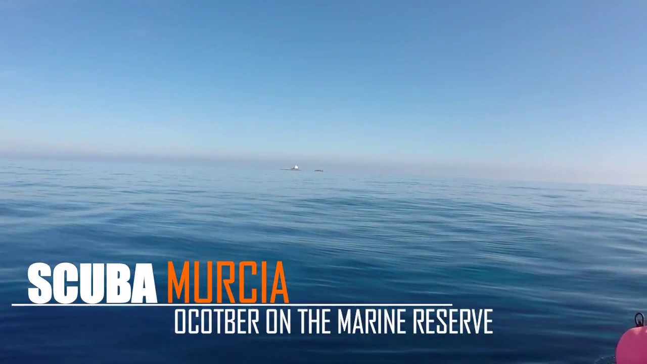 Cabo de palos - October diving with Scuba Murcia