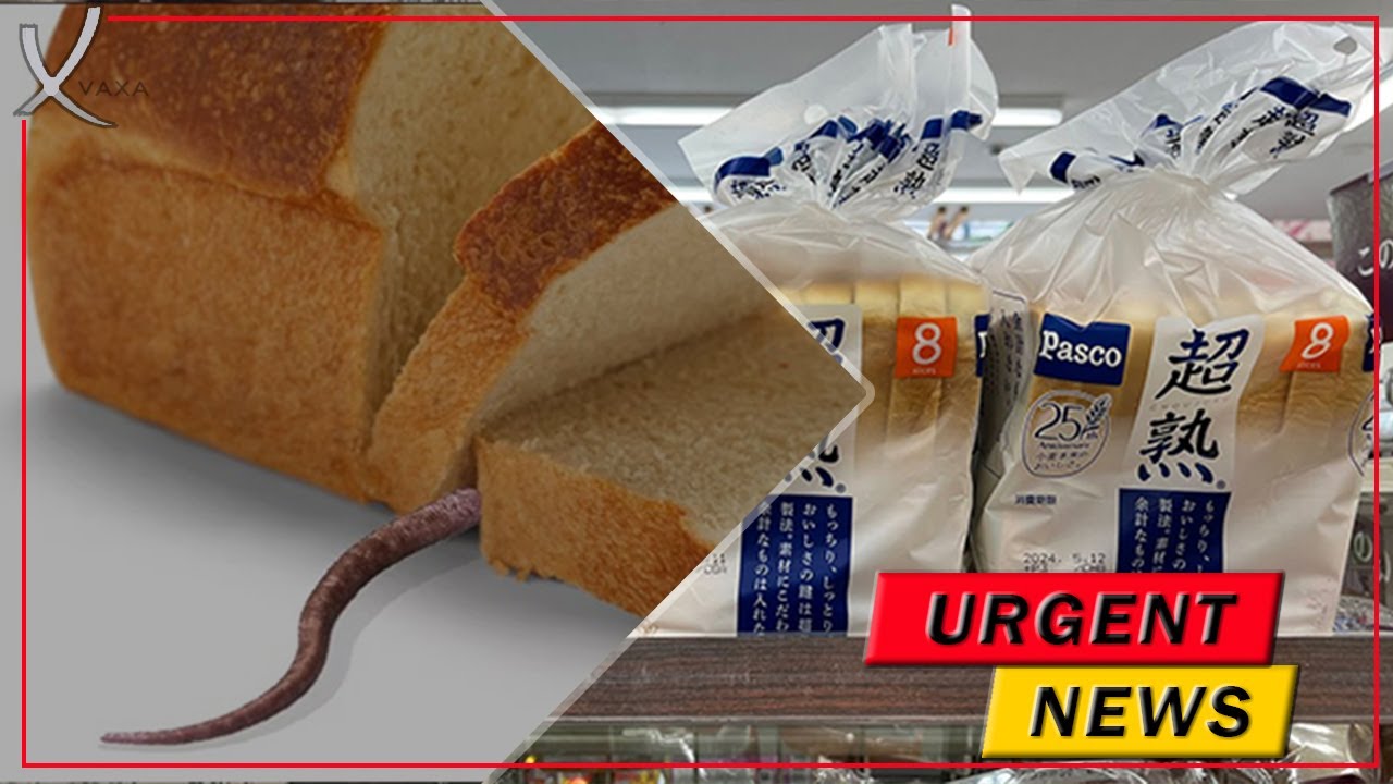 Bread Recalled After 'Rat Remains' Found Inside Loaves - VAXA Post